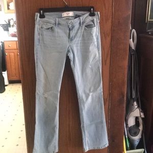 Hollister Bootcut Jeans NWT